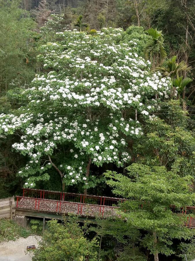 Dingdai Cherry Blossoms Resort Nantou Exterior foto